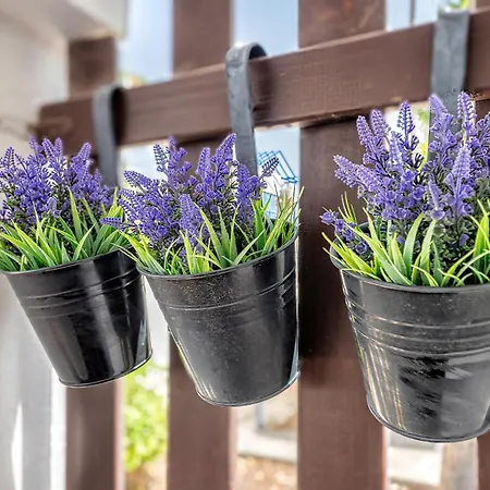 Duplex Vacacional En Play Mar Maspalomas (Gran Canaria)